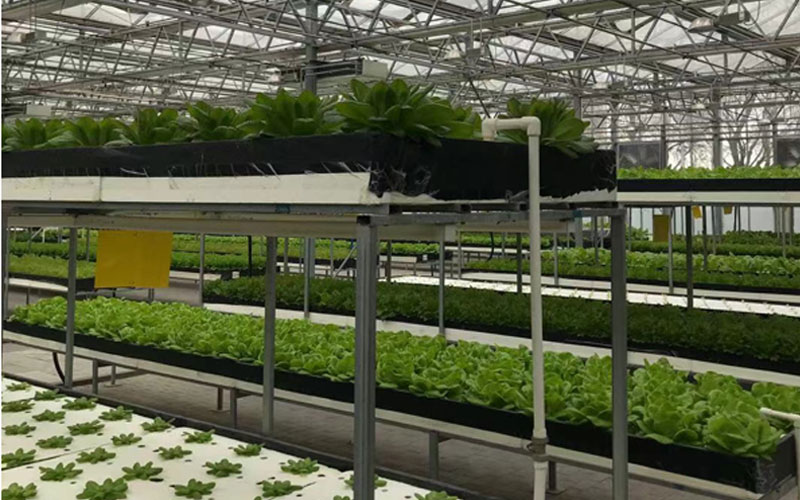 bte·365(中国)体育在线官网